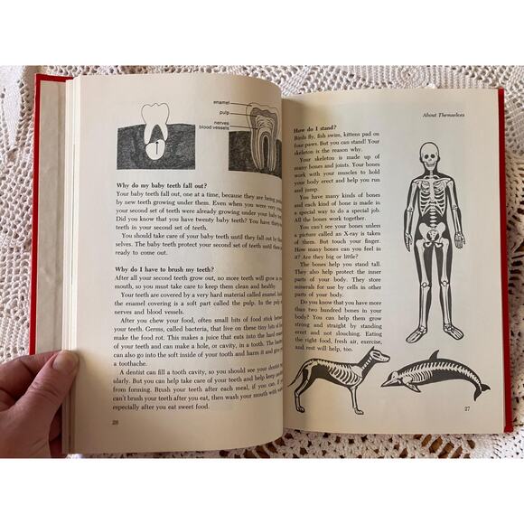 Vintage 'Questions Children Ask' Hardcover Book: 1982 Educational Science - Picture 8 of 9